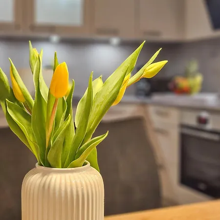 Apartment Ankerpunkt Suedost - Mit Garten Und Sauna