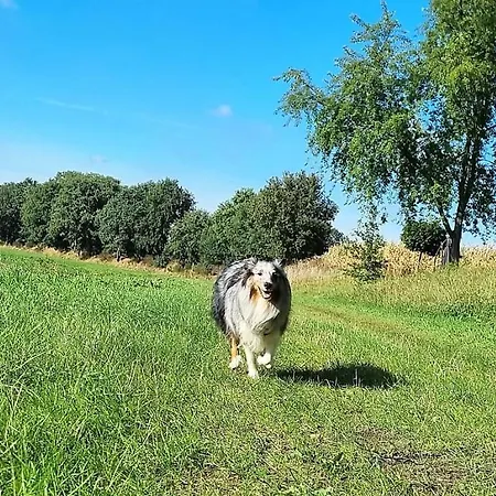 Ankerpunkt Suedost - Mit Garten Und Sauna Apartament *