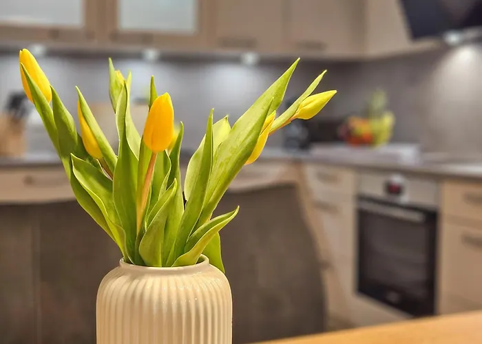 Apartament Ankerpunkt Suedost - Dorumer Sielhuus 6